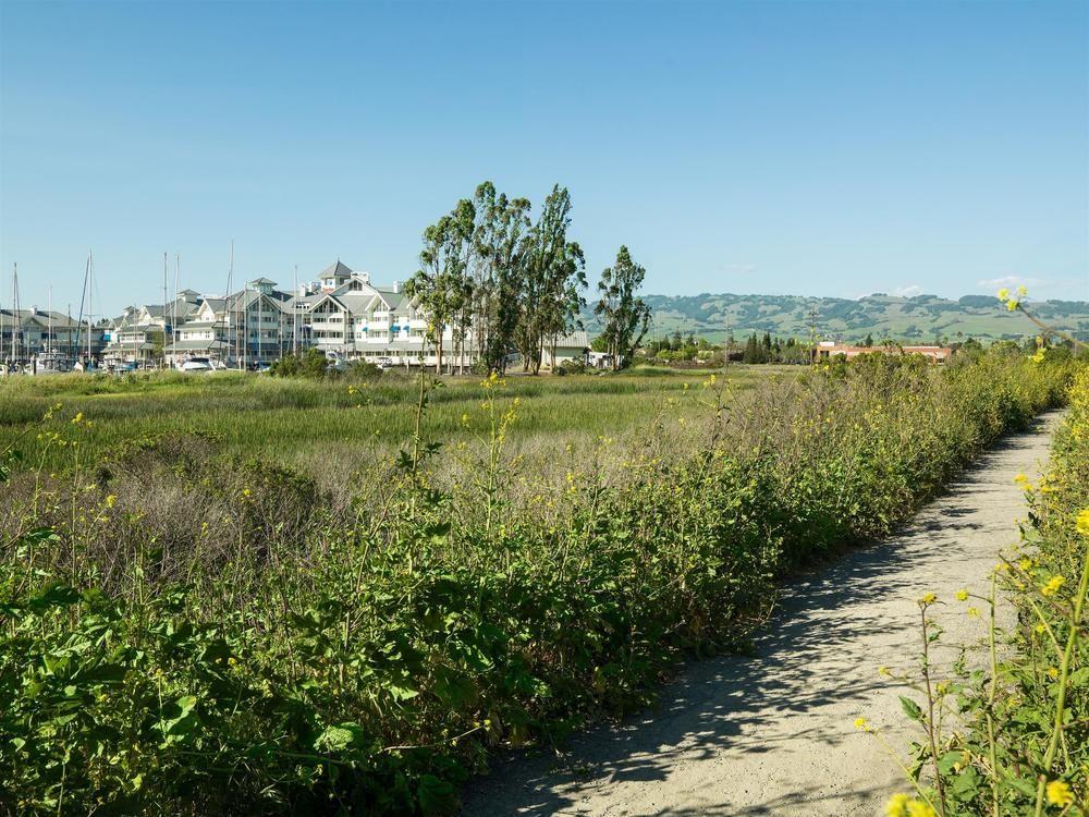 Sheraton Sonoma Wine Country פטאלומה מראה חיצוני תמונה